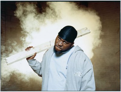 david banner (16).jpg