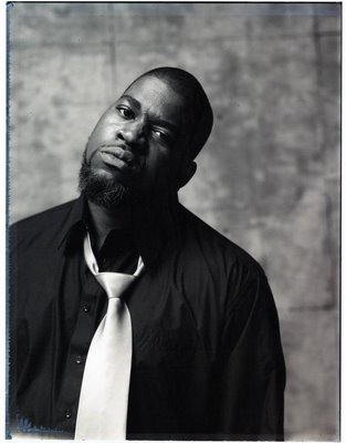 david banner (17).jpg