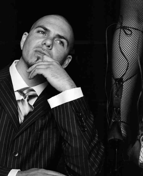 Pitbull (5).jpg