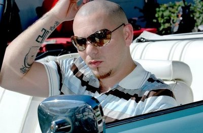 Pitbull (22).jpg