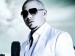 Pitbull (17).jpg