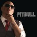 Pitbull (21).jpg